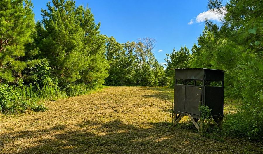 SW Auburn Drive, Bogue Chitto, MS 39629 - 0 Beds, 0 Bath