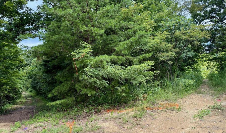 00 Coal Branch Rd, Beattyville, KY 41311 - 0 Beds, 0 Bath