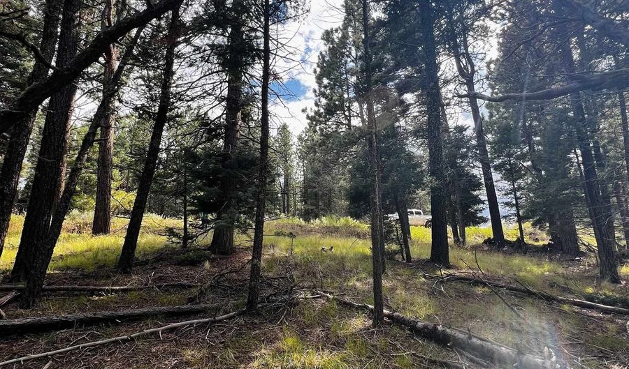 72 Back Basin, Angel Fire, NM 87710 - 0 Beds, 0 Bath