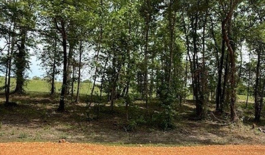 Maddox Court, Arkadelphia, AR 71923 - 0 Beds, 0 Bath