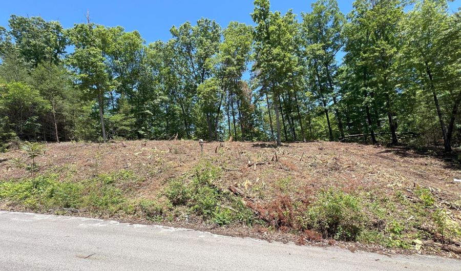 Lot 45 Bayside Boulevard, Bean Station, TN 37708 - 0 Beds, 0 Bath