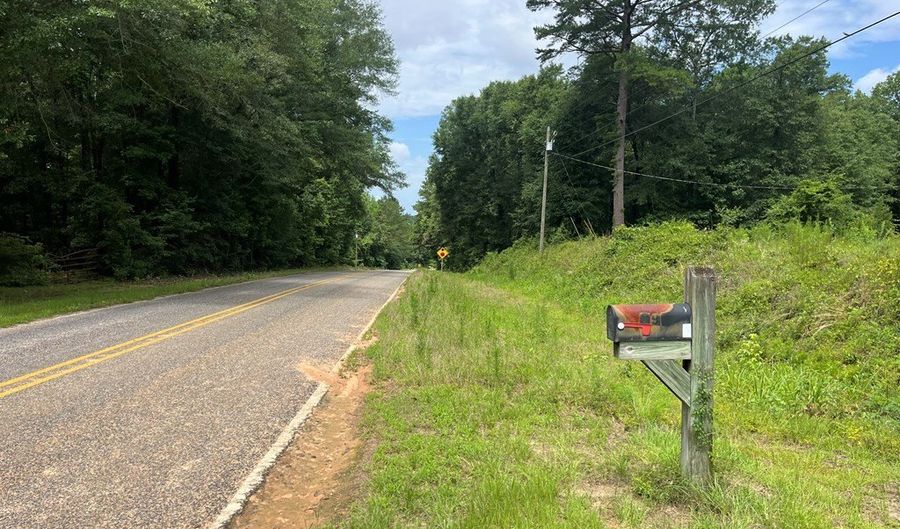 227 County Road 102, Abbeville, AL 36310 - 5 Beds, 2 Bath