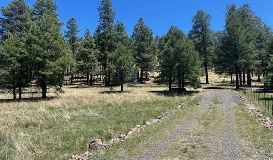 450 County Road 2104, Alpine, AZ 85920 - 1 Beds, 1 Bath