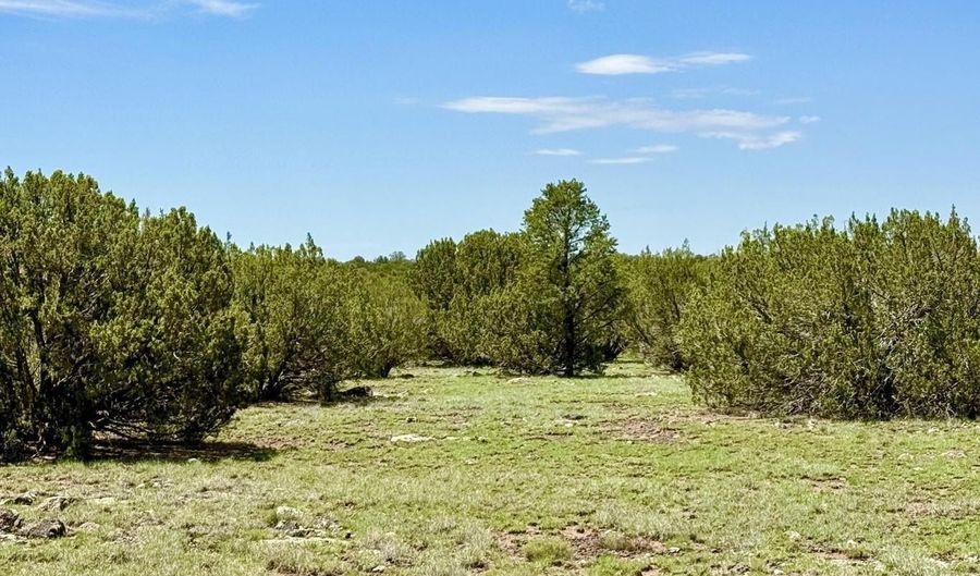 125 Co Rd 8051, Concho, AZ 85924 - 0 Beds, 0 Bath