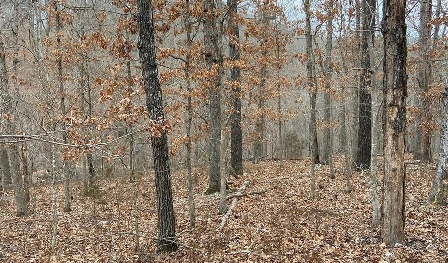Lot 44 of Block 2 Twyford LN, Bella Vista, AR 72714 - 0 Beds, 0 Bath