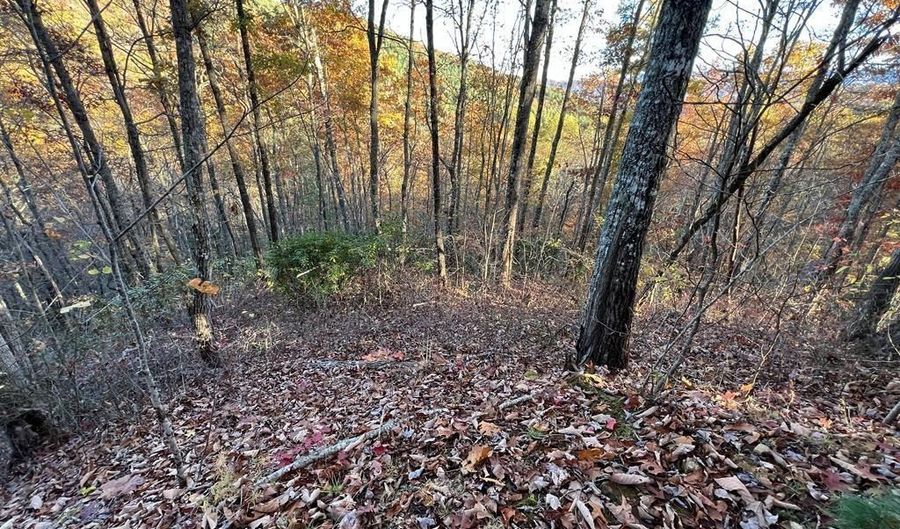 Lot 66 Musket Rd 66, Almond, NC 28702 - 0 Beds, 0 Bath