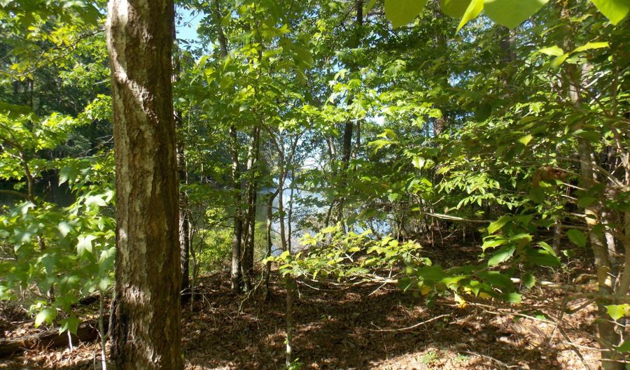 13 RIVERVIEW Ct, Lincolnton, GA 30817 - 0 Beds, 0 Bath