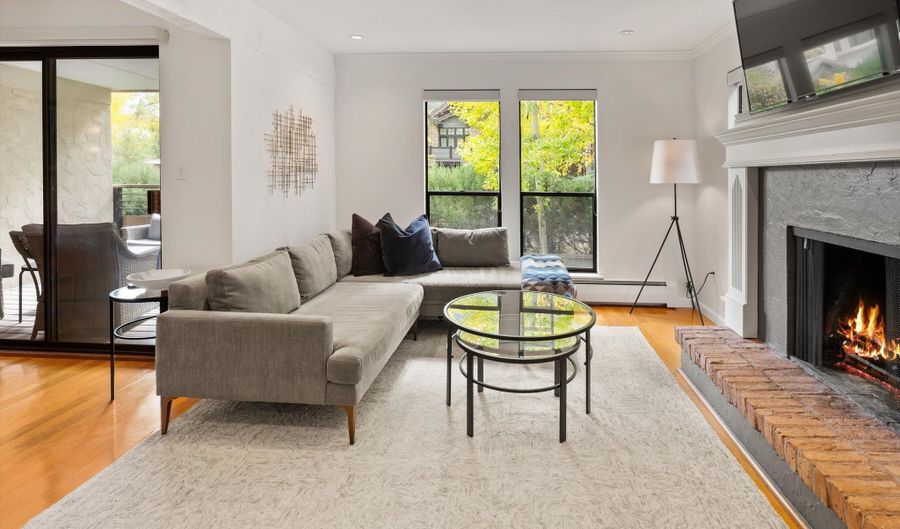 980 E Hyman Avenue 3, Aspen, CO 81611 - 2 Beds, 2 Bath