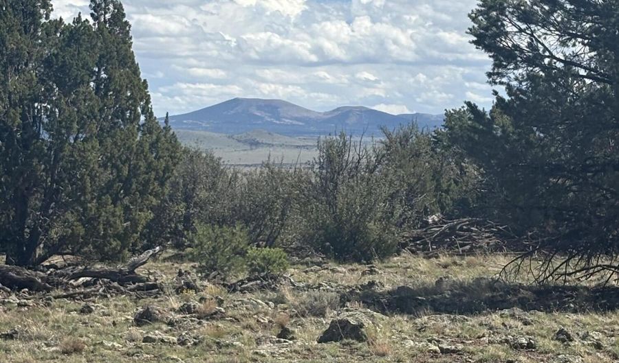 20 SE Kirkwood N8715 Rd, Concho, AZ 85924 - 0 Beds, 0 Bath