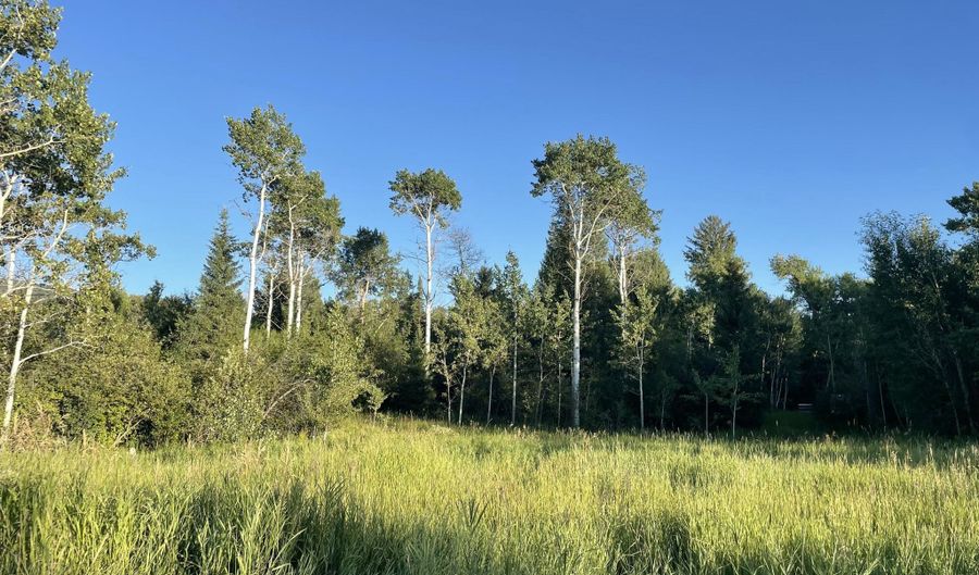 390 S STATE LINE Rd, Alta, WY 83414 - 0 Beds, 0 Bath