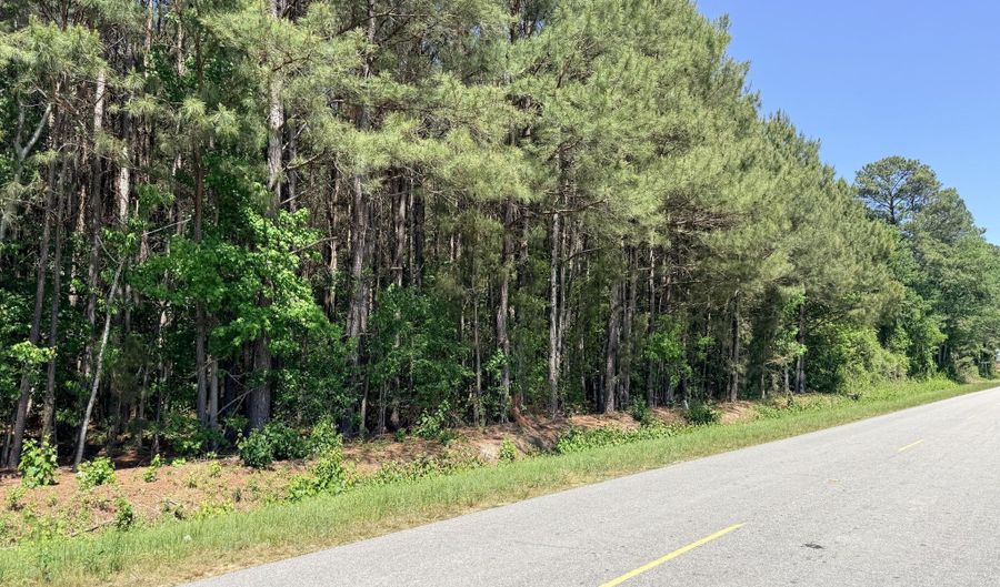 Mt Carmel Church Road lot 2, Autryville, NC 28318 - 0 Beds, 0 Bath