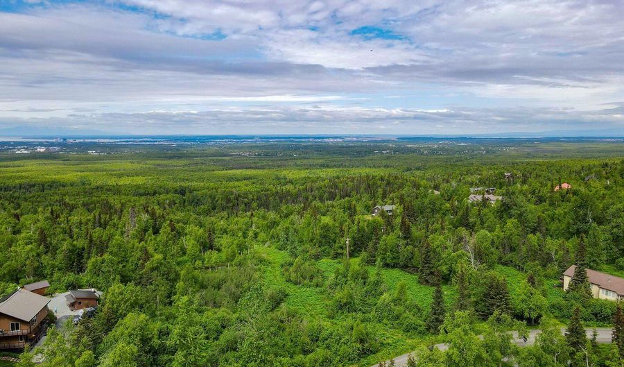 NHN Montagne Circle, Anchorage, AK 99507 - 0 Beds, 0 Bath