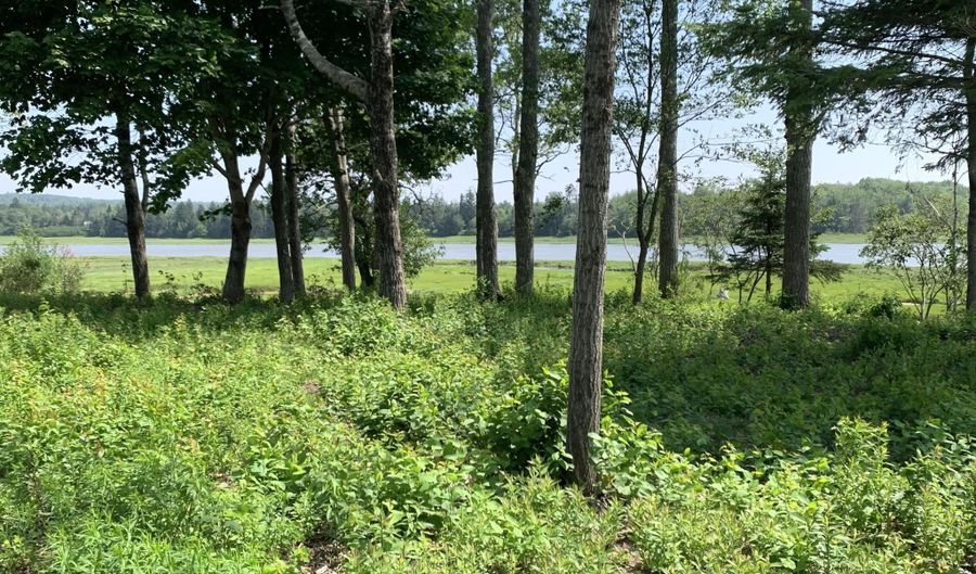 361 Water St, Addison, ME 04606 - 3 Beds, 0 Bath