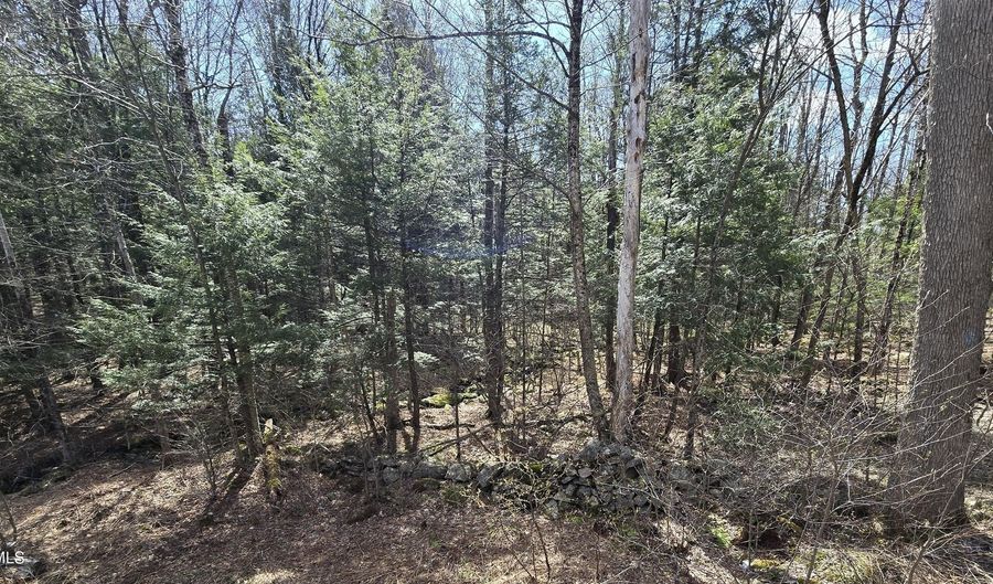 Jacobs Ladder Rd, Becket, MA 01223 - 0 Beds, 0 Bath