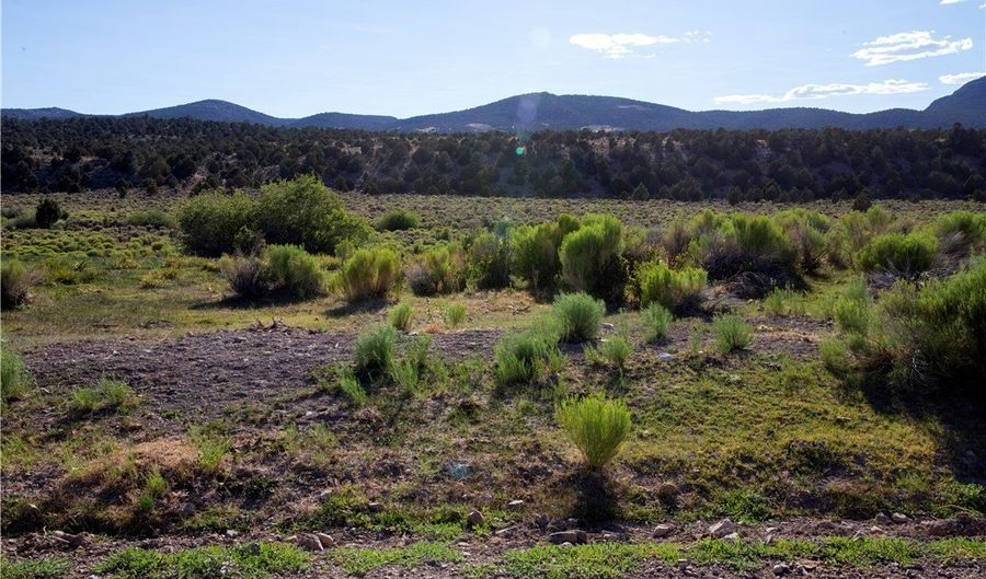 Duck Creek Development Road, Ely, NV 89301 - 0 Beds, 0 Bath