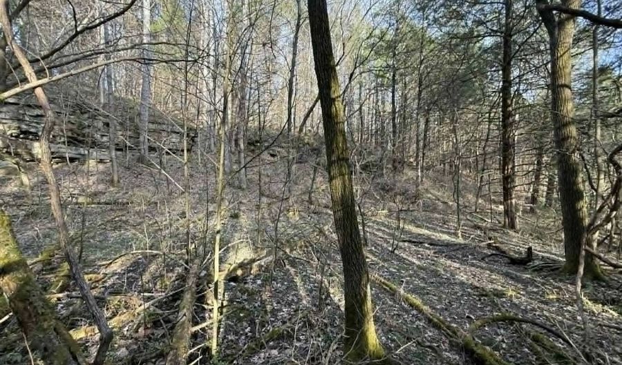 5 Acres Hwy 415, Albany, KY 42602 - 0 Beds, 0 Bath