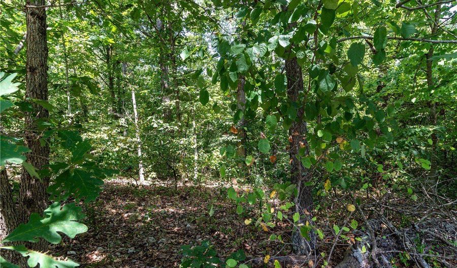 14600 Canyon Road Lot 8 & 9, Bella Vista, AR 72715 - 0 Beds, 0 Bath