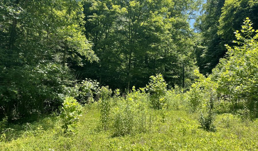 6758 Highway 66, Arjay, KY 40902 - 0 Beds, 0 Bath