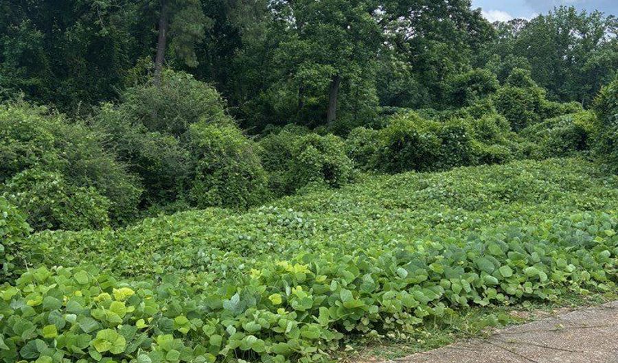 0 Creel Richardson Road Formerly College St, Ariton, AL 36311 - 0 Beds, 0 Bath