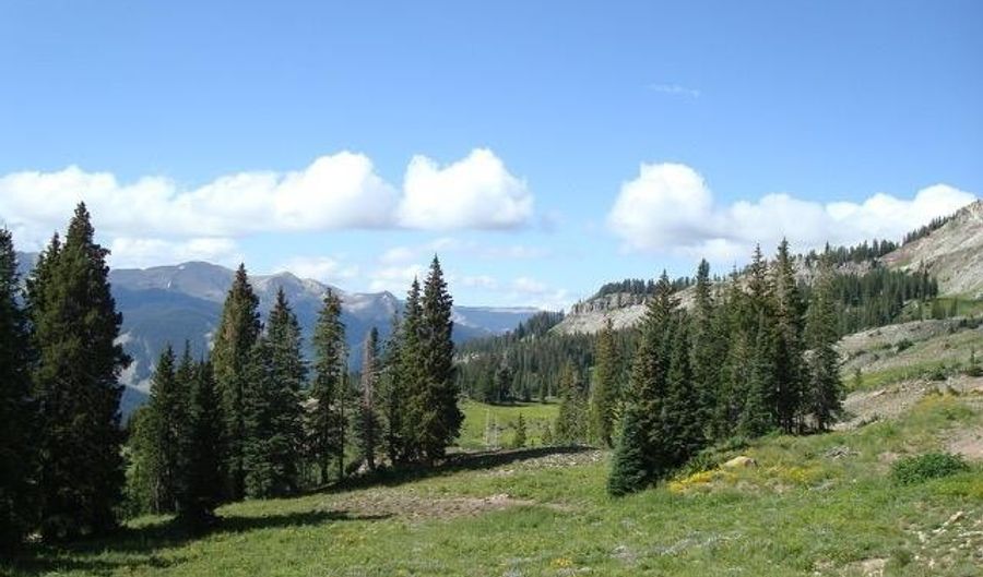 TBD Forest Service Road 861 D1, Crested Butte, CO 81224 - 0 Beds, 0 Bath