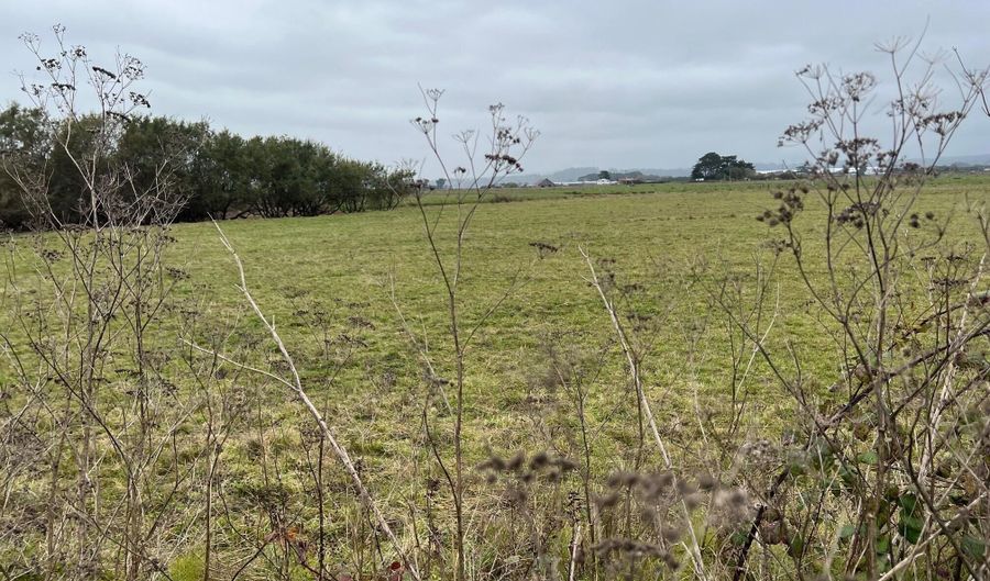 1127 Moxon Ln, Arcata, CA 95521 - 4 Beds, 1 Bath