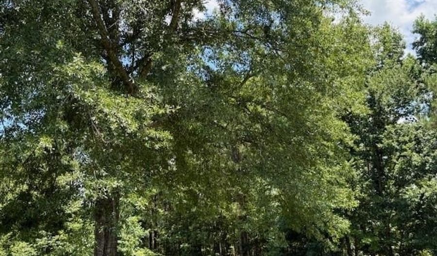 219 Swint Rd, Arcadia, LA 71001 - 2 Beds, 2 Bath