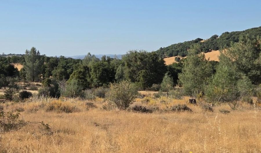9606 Spring Hill Ranch Rd, Angels Camp, CA 95222 - 3 Beds, 2 Bath