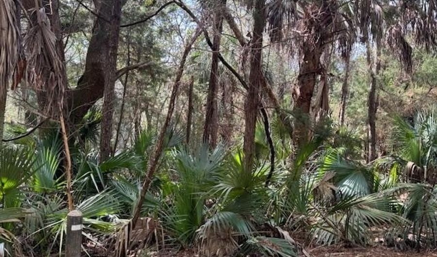 4 Dowitcher Trl, Bald Head Island, NC 28461 - 0 Beds, 0 Bath