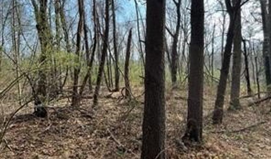 SHANKTOWN Road lot 10, Big Pool, MD 21711 - 0 Beds, 0 Bath