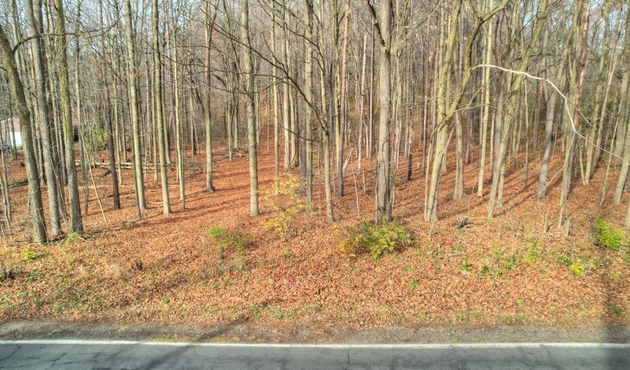 3615 Allegan Dam Road Lot C, Allegan, MI 49010 - 0 Beds, 0 Bath