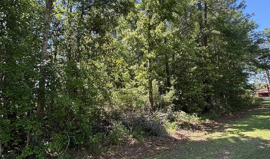 Canoe Rd, Andalusia, AL 36421 - 0 Beds, 0 Bath