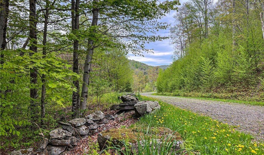 State Route 28 lot # 10, Andes, NY 13731 - 0 Beds, 0 Bath
