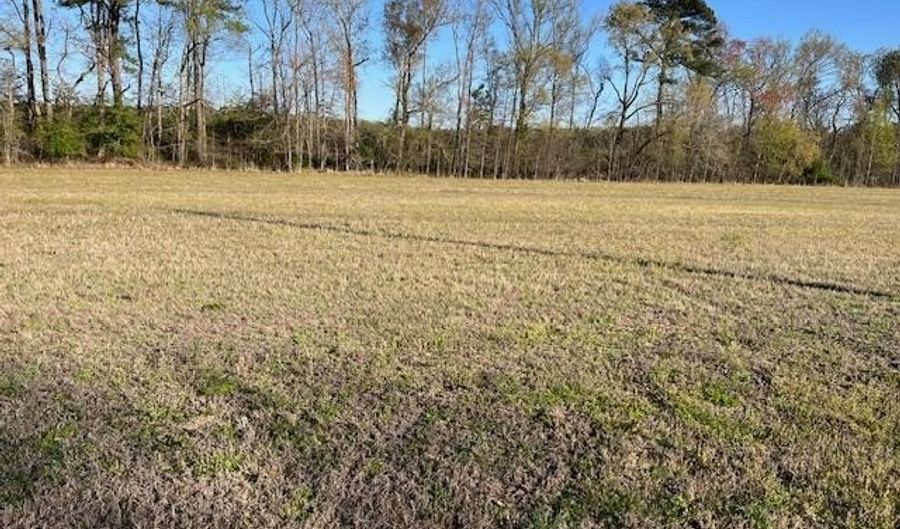 E SHIRE Drive, Berlin, MD 21811 - 0 Beds, 0 Bath