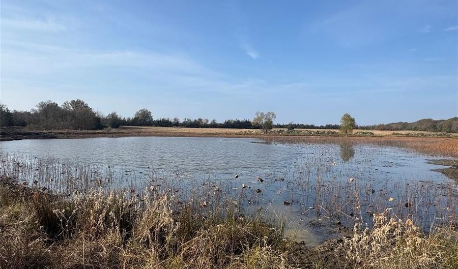 000 FM 44, Annona, TX 75550 - 0 Beds, 0 Bath