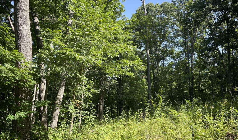 16569 Co Rd 14-533, Ava, MO 65608 - 3 Beds, 3 Bath