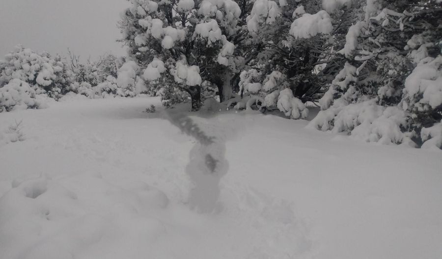 49 Norma Way, Ash Fork, AZ 86320 - 2 Beds, 1 Bath