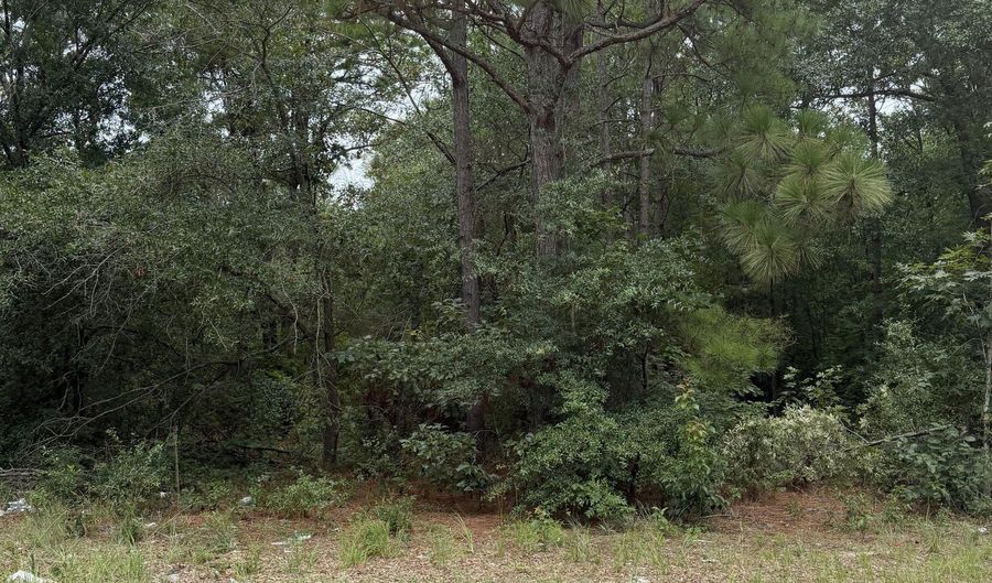 406 Douglas Dr, Beech Island, SC 29842 - 0 Beds, 0 Bath