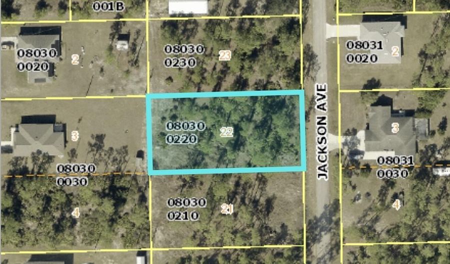 2219 Jackson Ave, Alva, FL 33920 - 0 Beds, 0 Bath