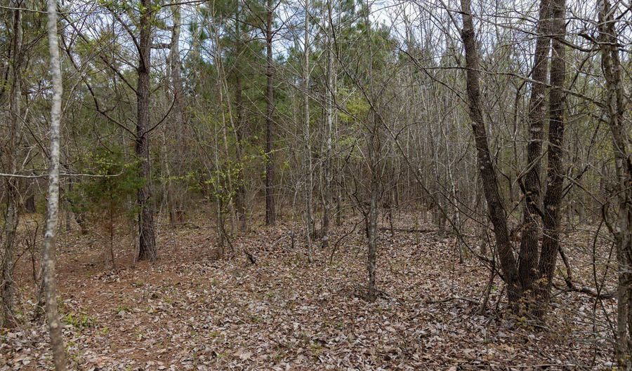 Tbd Pump Station Rd, Ashdown, AR 71822 - 0 Beds, 0 Bath