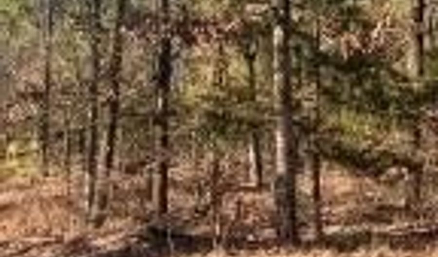 00000 Crow Mountain Dr, Atkins, AR 72823 - 0 Beds, 0 Bath