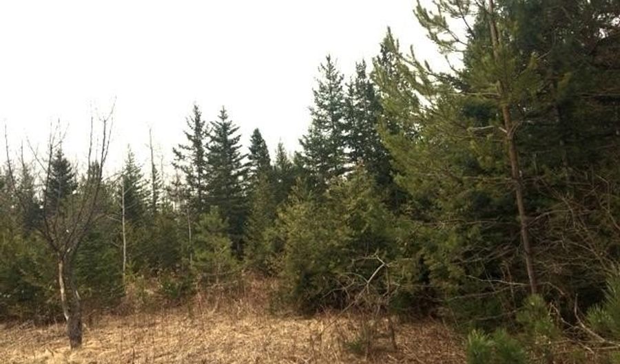 8503 S US-31 Hwy, Alanson, MI 49706 - 0 Beds, 0 Bath