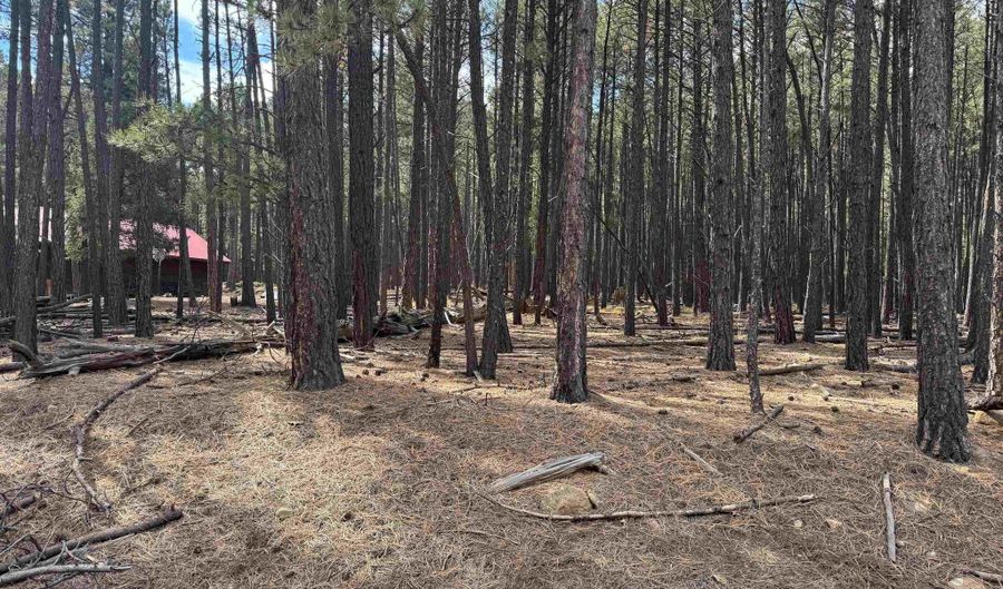 Alamosa Terrace lot 929, Angel Fire, NM 87710 - 0 Beds, 0 Bath
