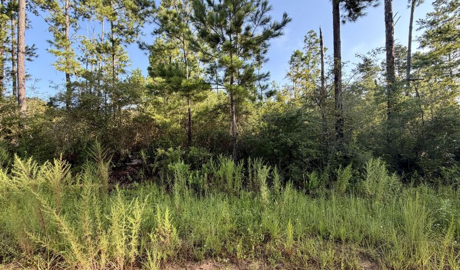 Black Hills Street lot 4, Alford, FL 32420 - 0 Beds, 0 Bath