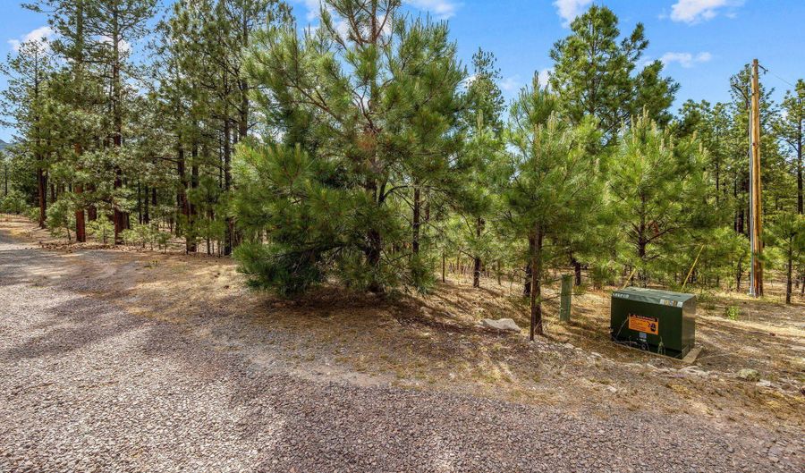 CR2325, Alpine, AZ 85920 - 0 Beds, 0 Bath