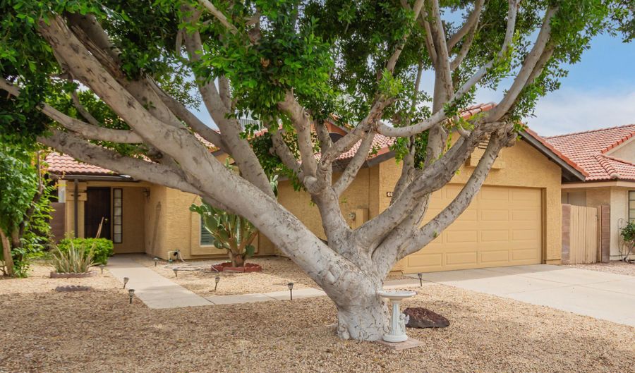 4167 W Gail Dr, Chandler, AZ 85226 - 3 Beds, 2 Bath