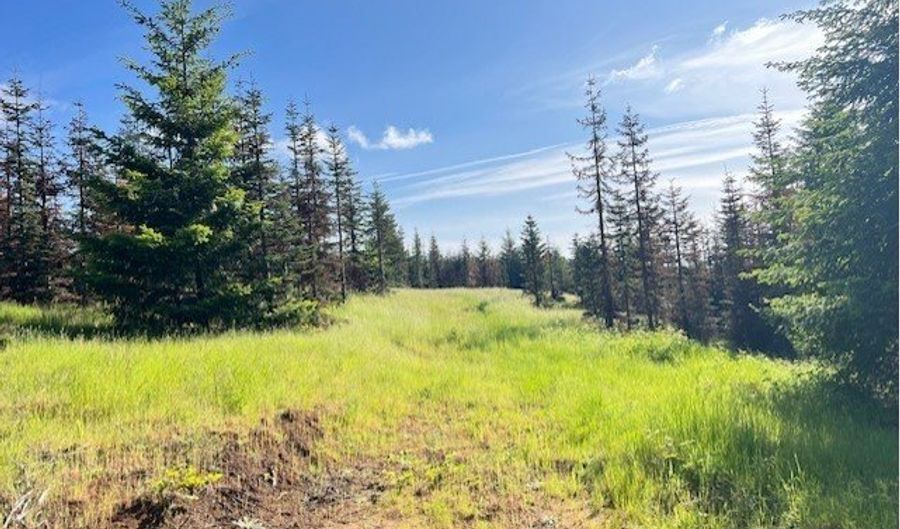 NW LODGE Rd, Banks, OR 97106 - 0 Beds, 0 Bath