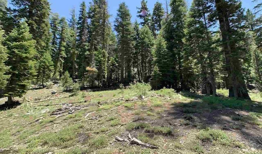 1445 1451 Mineral Spring Trl, Alpine Meadows, CA 94146 - 0 Beds, 0 Bath