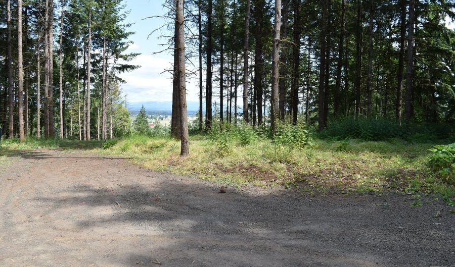 Scravel Hill RD, Albany, OR 97322 - 0 Beds, 0 Bath