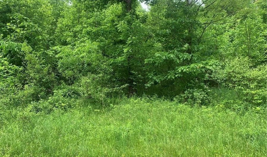 Pinney Topper Road, Ashtabula, OH 44004 - 0 Beds, 0 Bath
