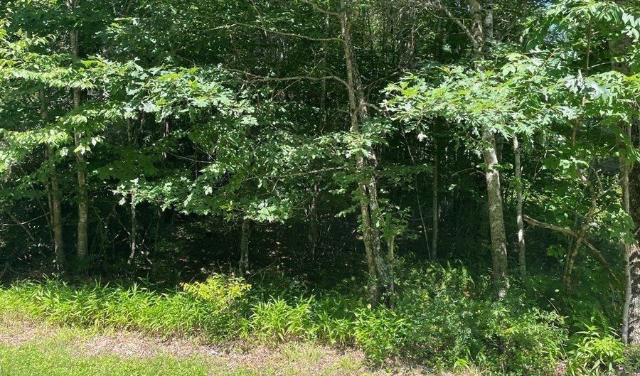 3 Clear Fork Creek Rd 31, Bastian, VA 24314 - 0 Beds, 0 Bath